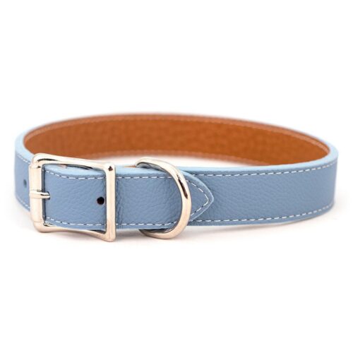 Auburn Leathercrafters Tuscan Dog Collar Baby Blue