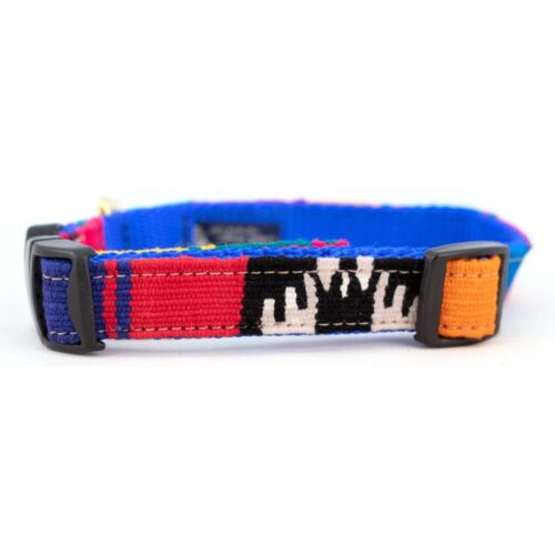 a tail we could wag dog collar Mystic